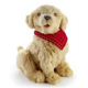 Terapidjur Hund - Stöd/Ortoser/Träning Trygga Hjälpmedel